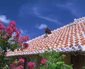 福岡発 格安国内旅行