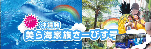 沖縄観光バス 美ら海水族館