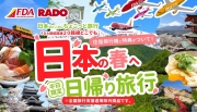 peachで行く北海道スキー