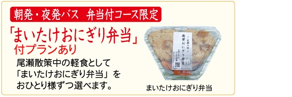 夜発バスで行く日帰り尾瀬　鳩待峠コース料金表