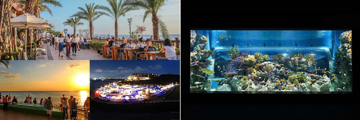 半日観光DMMかりゆし水族館へ行く｜ラドクイック号
