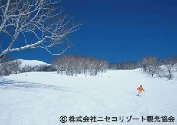 ゲレンデイメージ